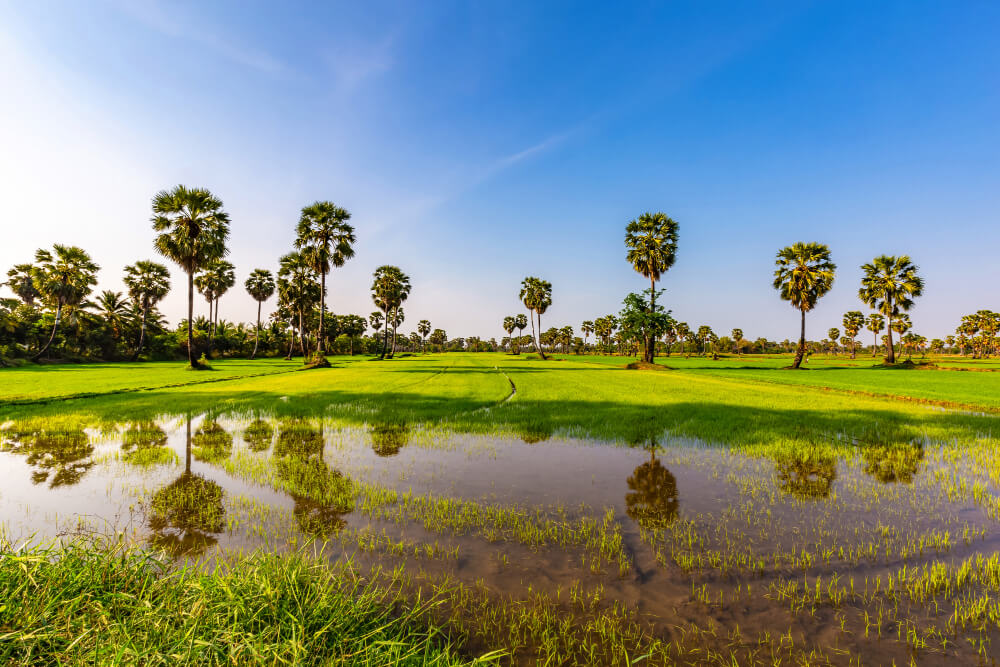 Kampot